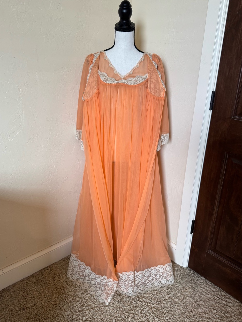 True Vintage 1960s Sheer Peignoir Nightgown and Robe Matching Lingerie Set